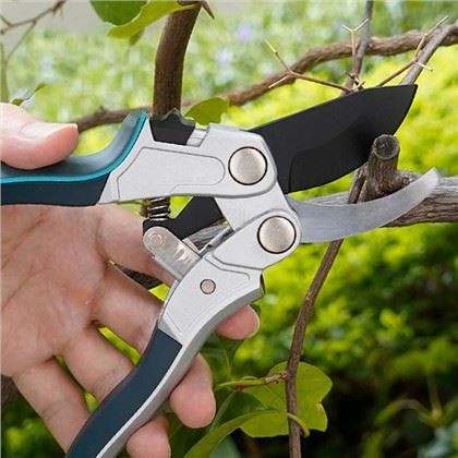 Sélection des sécateurs parfaits pour vos pommiers : guide du jardinier