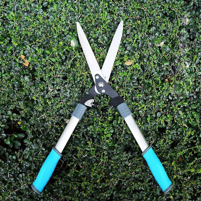 Cutting Shears For Bushes