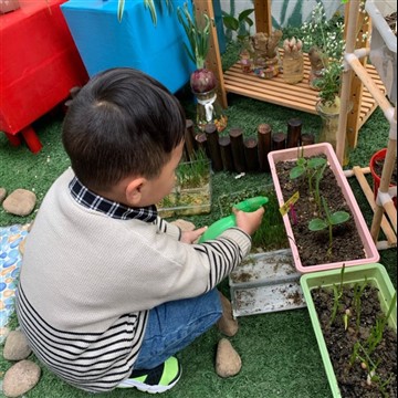 Comment cultiver le plaisir du jardinage des enfants