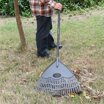 Comment prenons-nous soin de la Vinca pendant la saison hivernale?