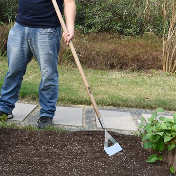 Les avantages de démarrer un potager