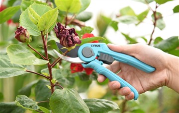 Les avantages de l'outil de coupe électrique et manuel