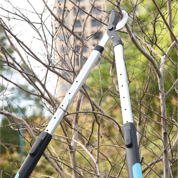 Élaguer et tailler : s'occuper de ma garde familiale