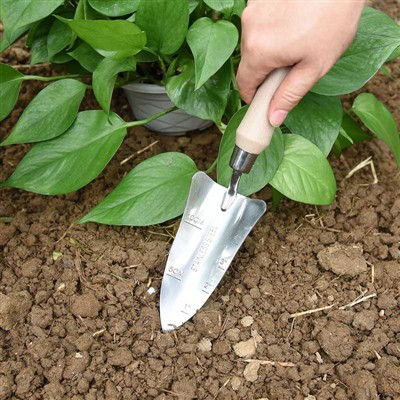 Journal de plantation de jardin -1