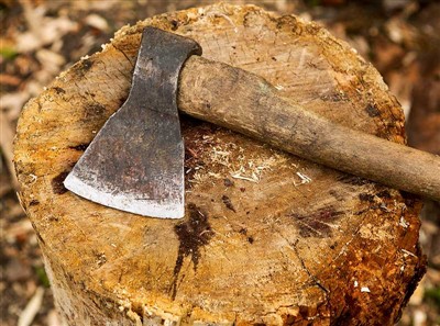 Outils d'abattage d'arbres et équipement de sécurité