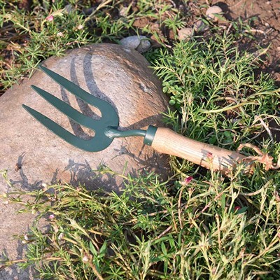 Les aventures quotidiennes des outils de jardinage