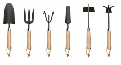 Planter des tomates à la maison