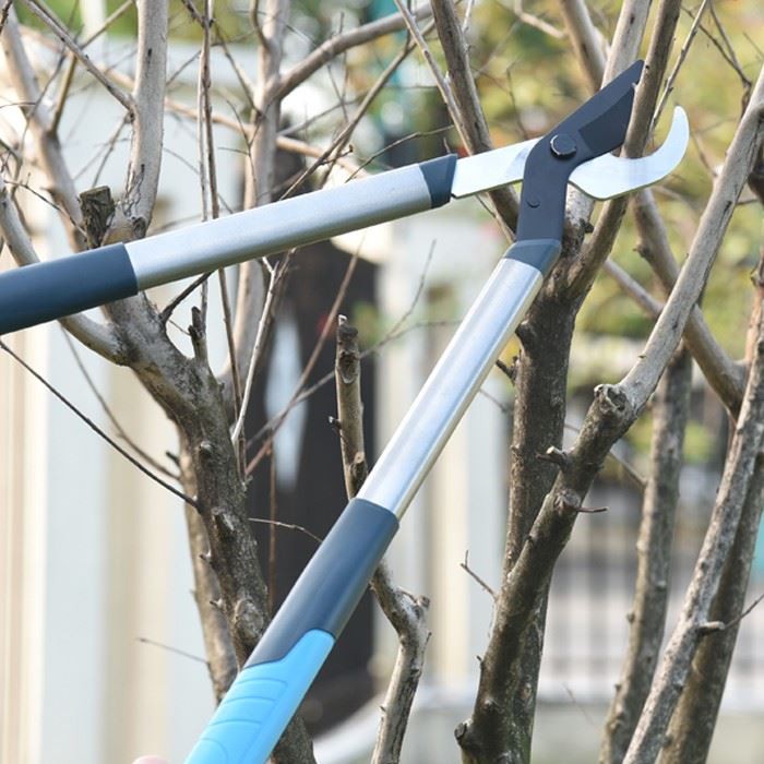 Long Handled Pruners Loppers