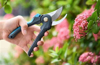 Outils de jardinage essentiels pour la plantation intérieure en hiver : un gu...