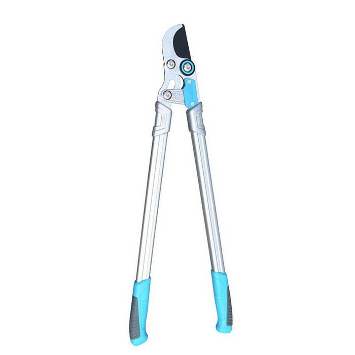 Cisaillement d'élagage